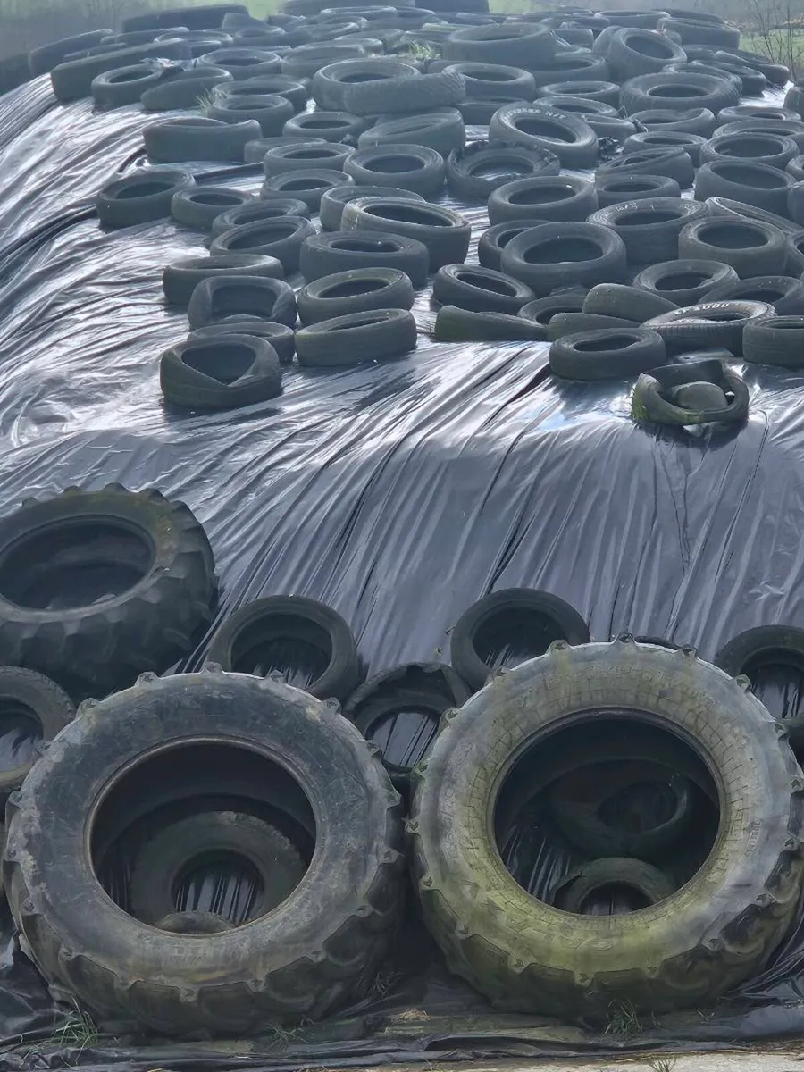 Pit silage - Image 1