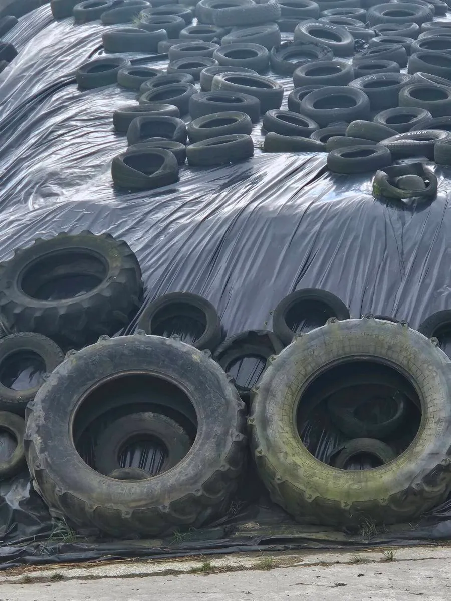 Pit silage - Image 2