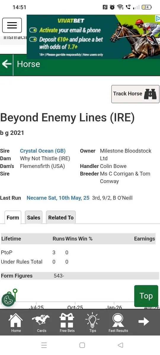 Race horse - Image 2