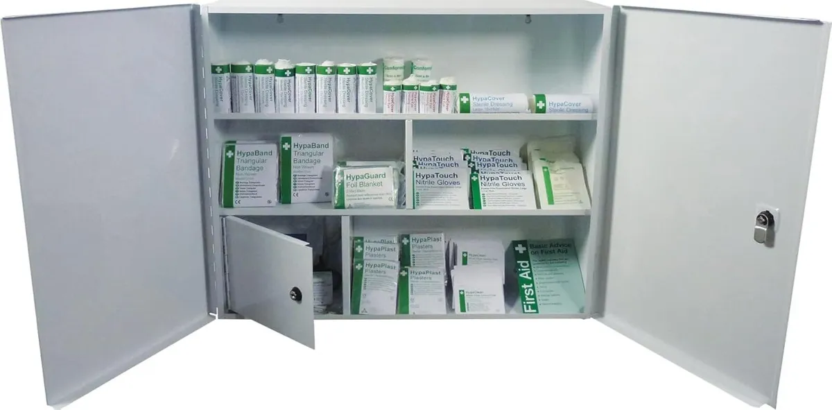 Metal Cabinet Empty - 60 x 50 12.5 cm - Image 4