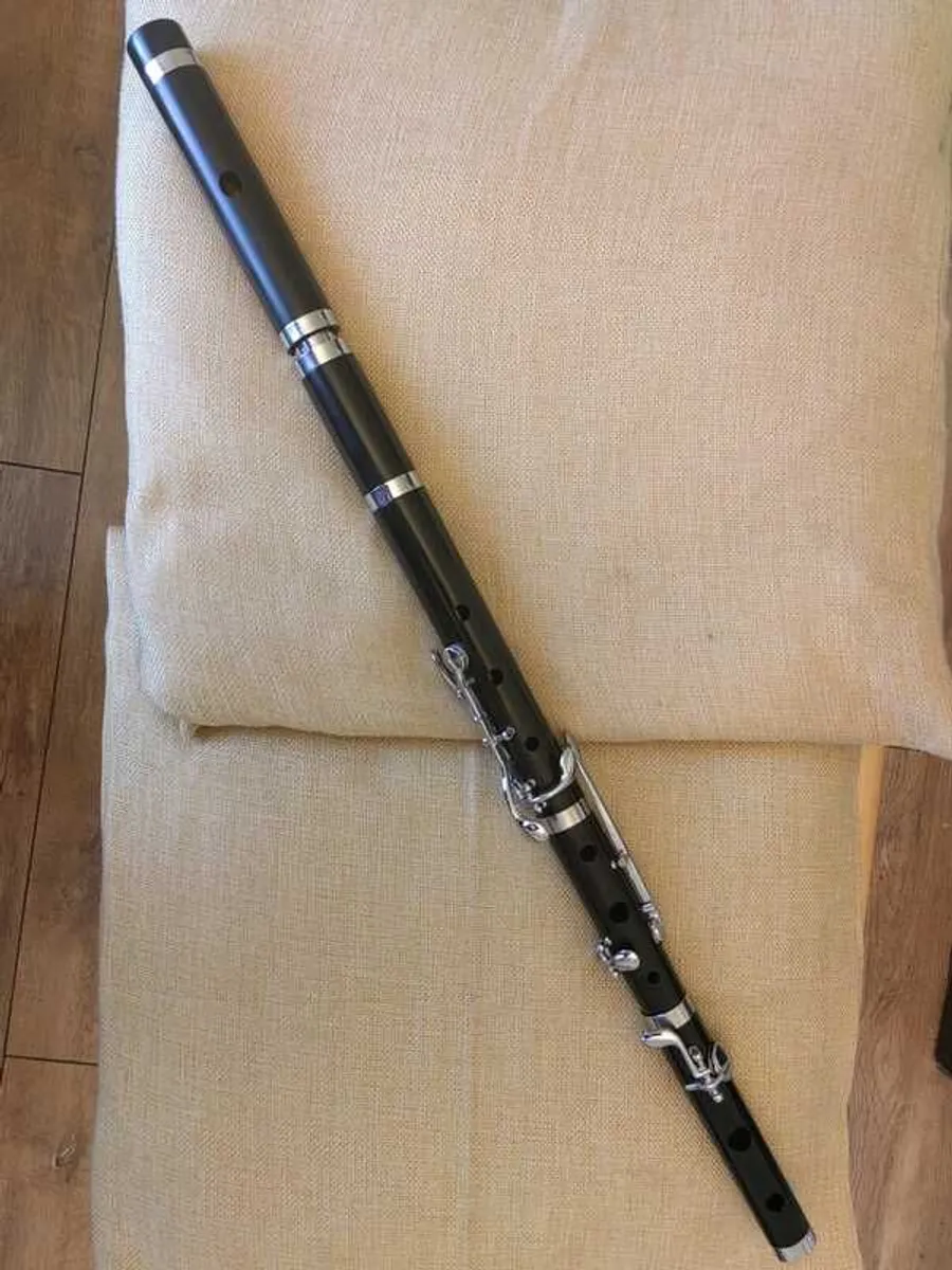 6 keyed polymer flute Price dropped - Image 1