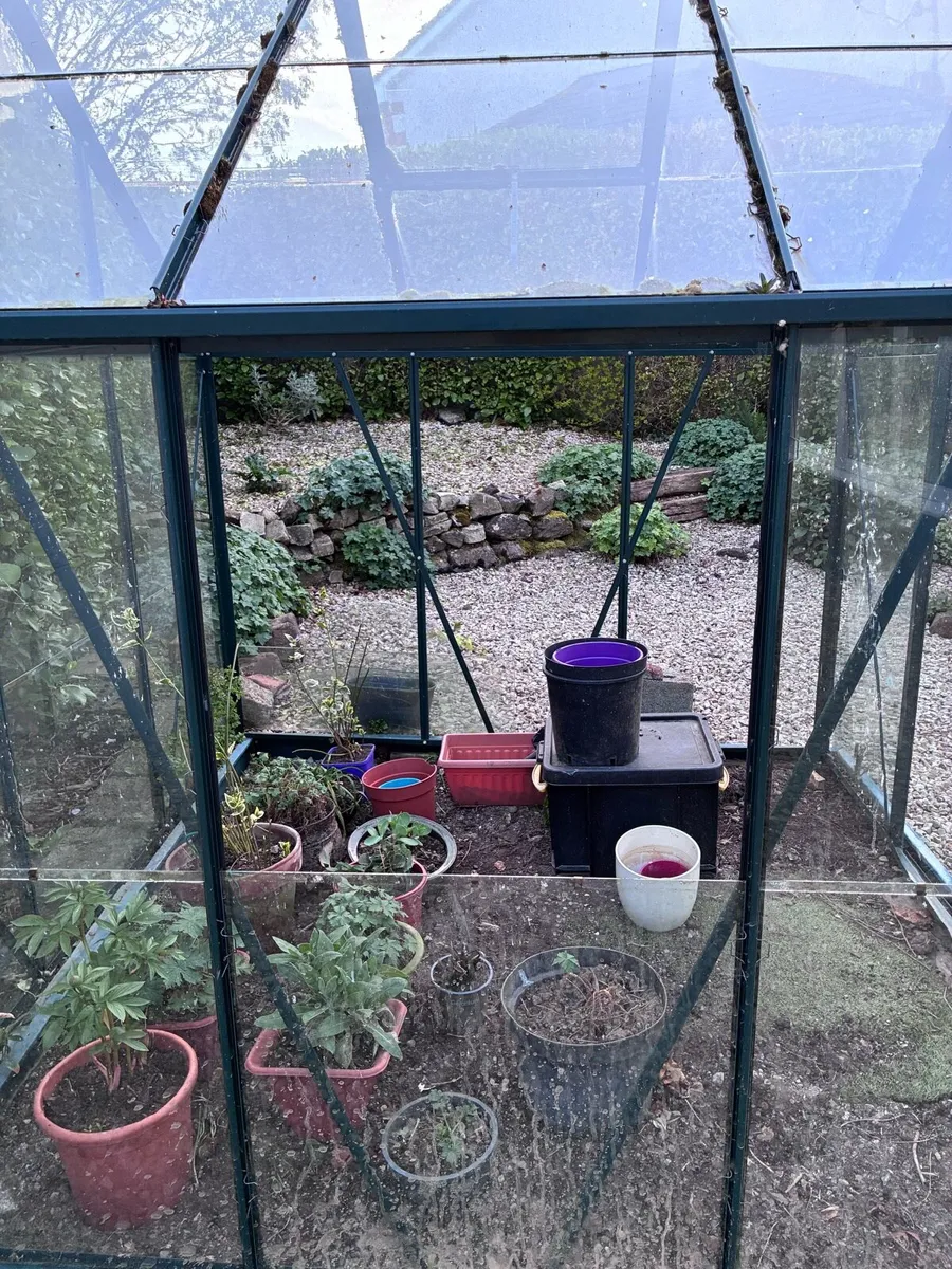 Glass house - Image 4