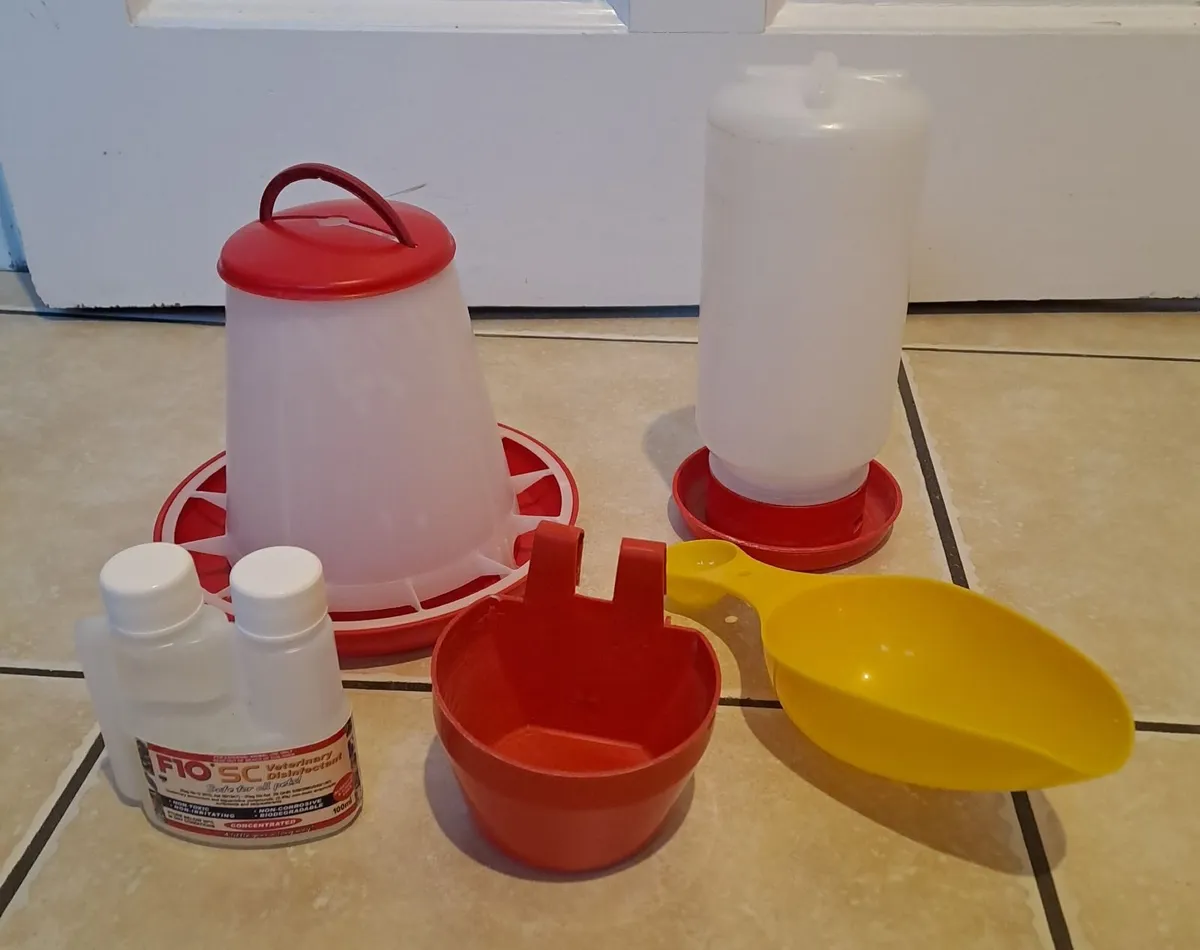 Chickens feeder - Image 1