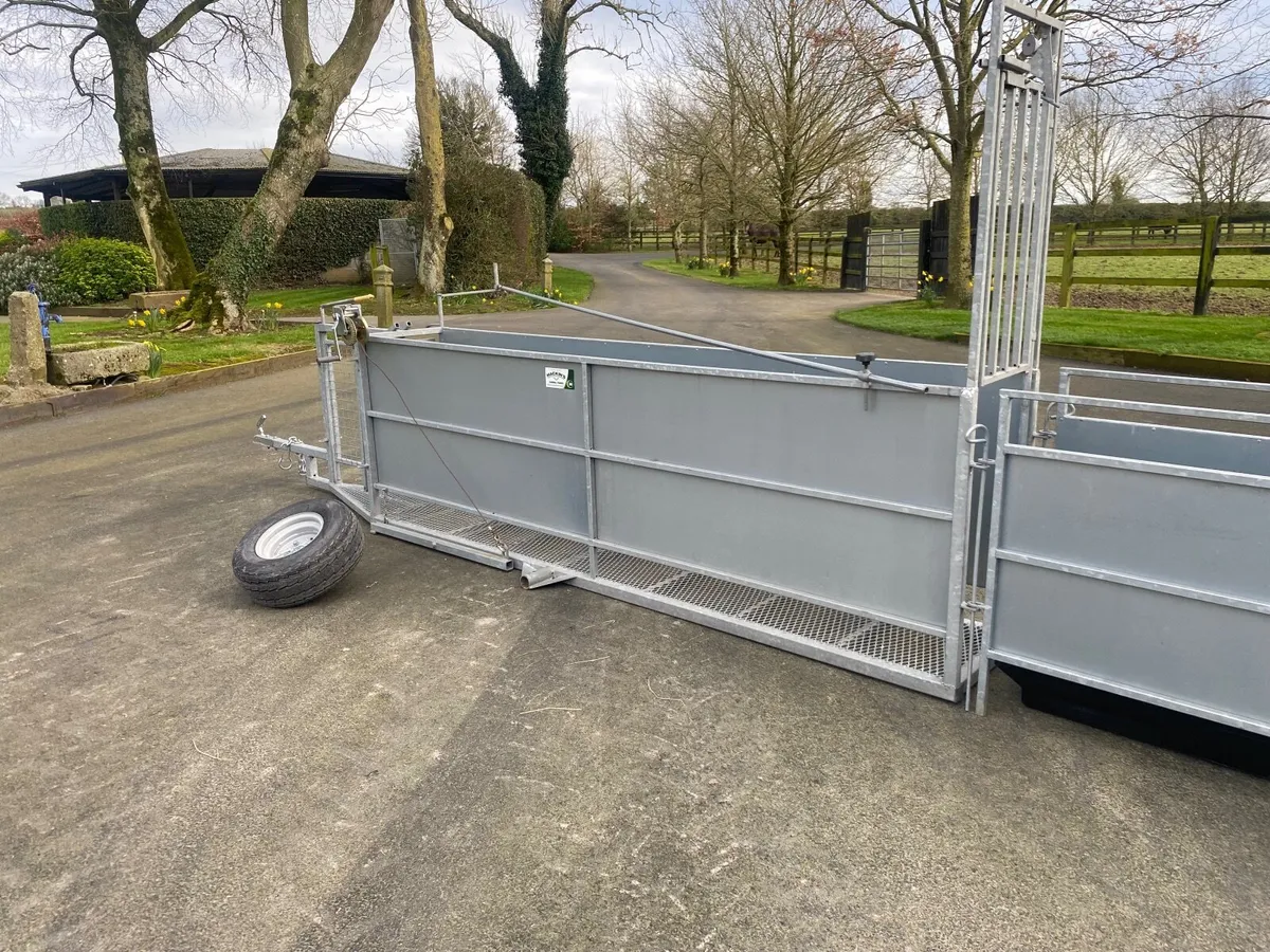 Mobike Sheep Race - Image 4