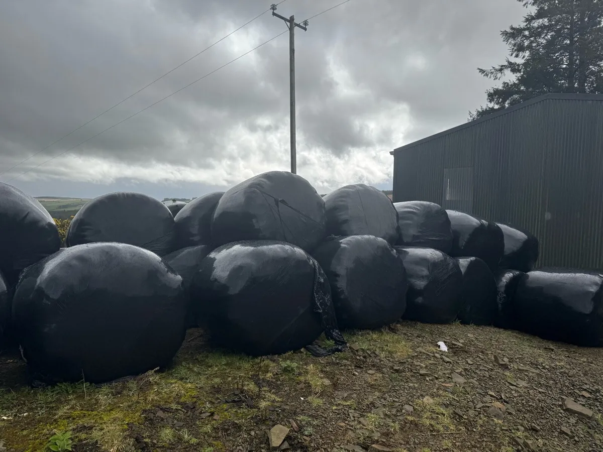 Silage bales - Image 3