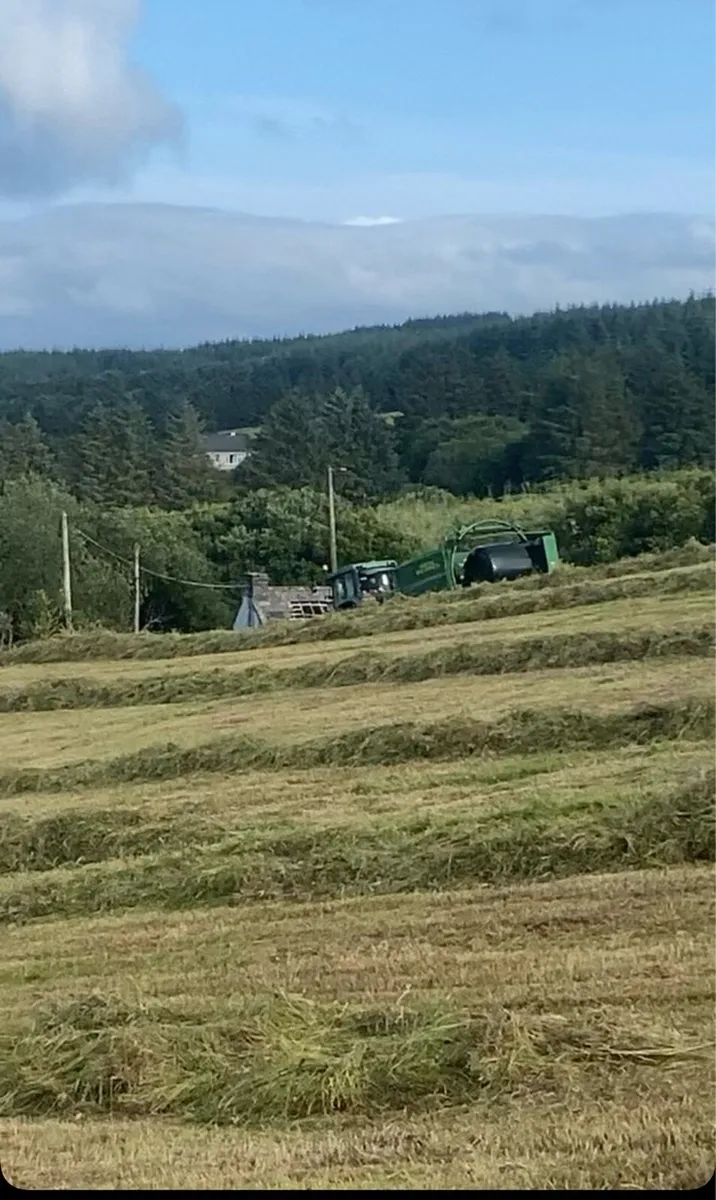 Silage bales - Image 1