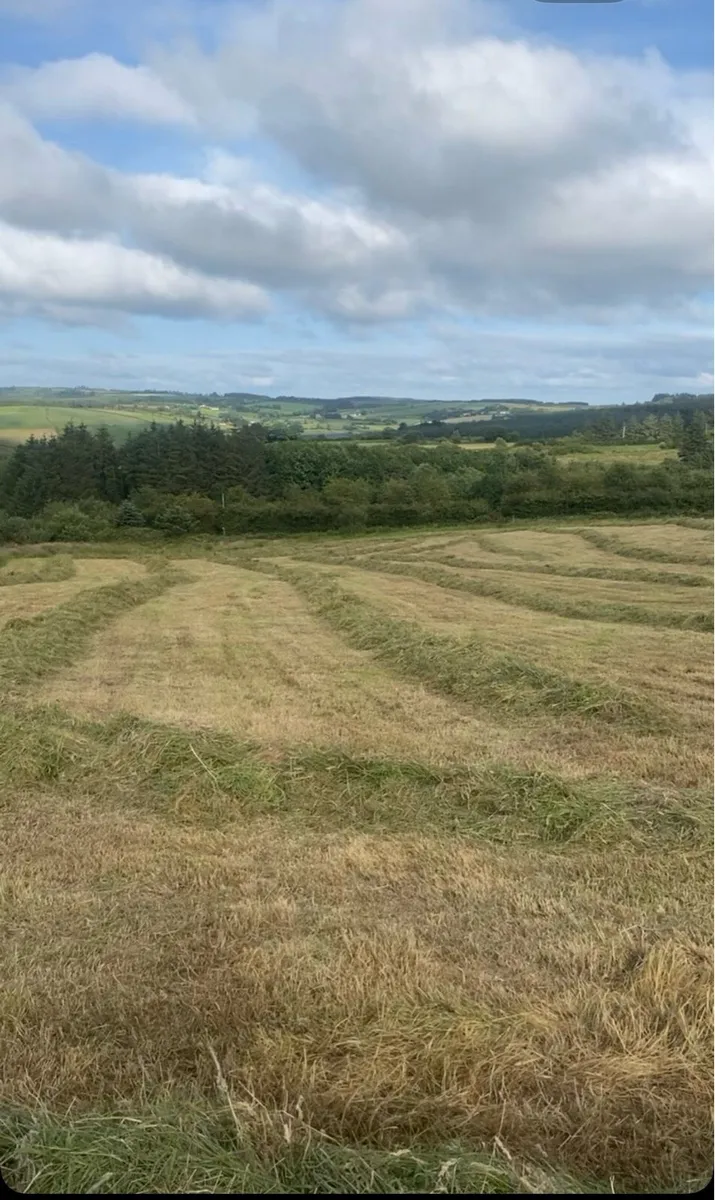 Silage bales - Image 4