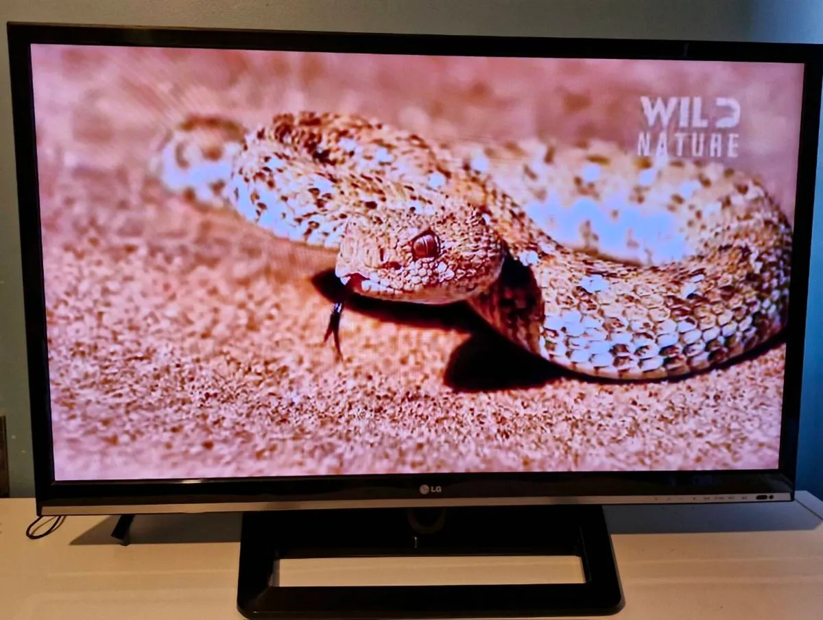 42" LG TV - Image 3