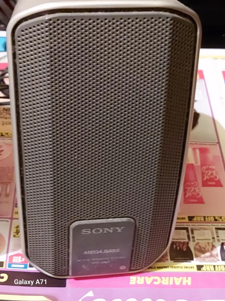 SONY Desktop Speakers, Model SRS-R202 - Image 4