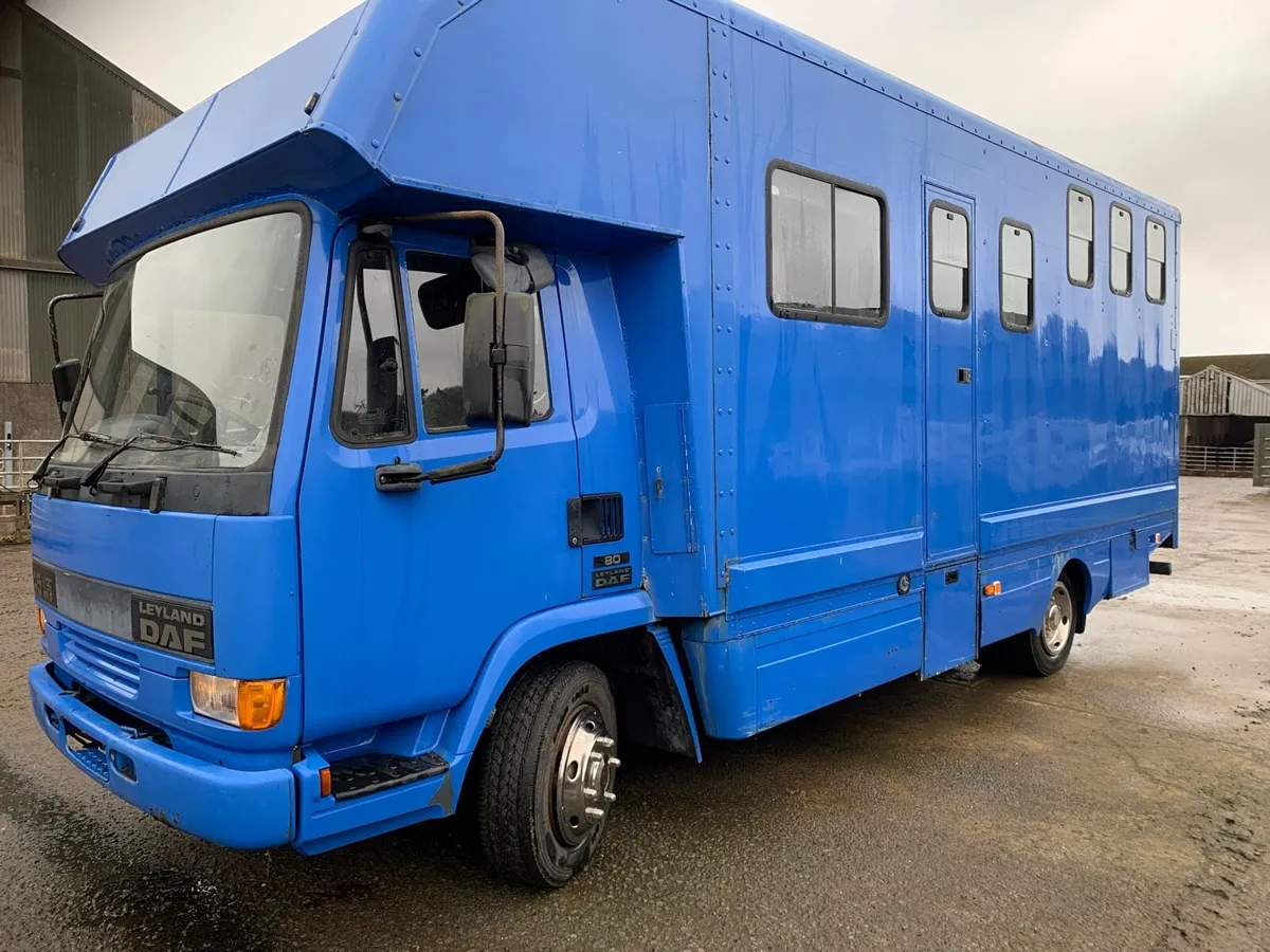 Horse box daf - Image 1