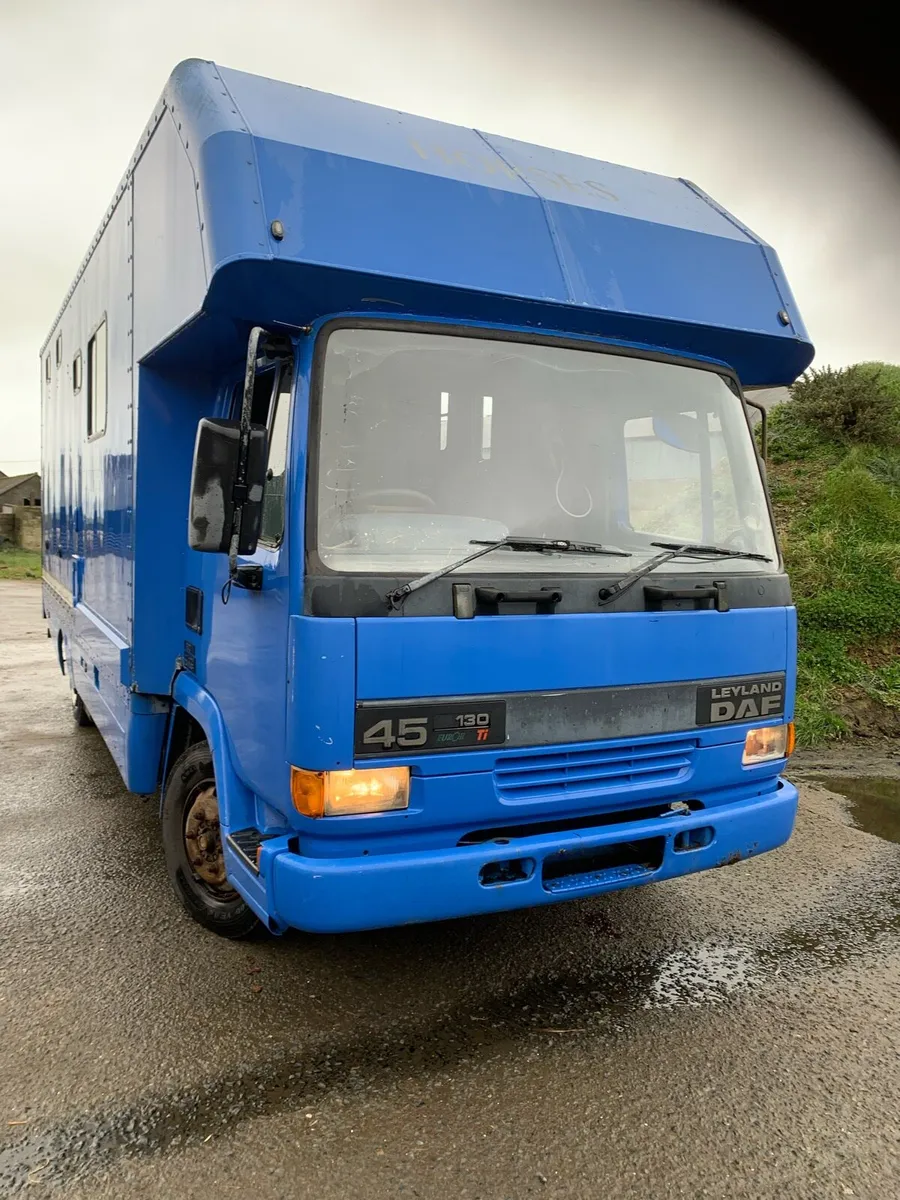 Horse box daf - Image 2