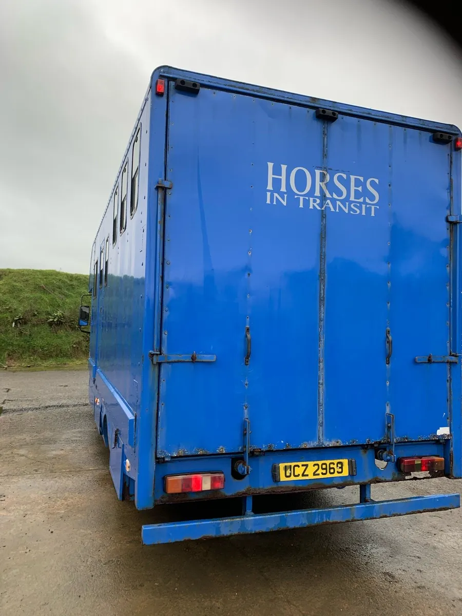 Horse box daf - Image 3