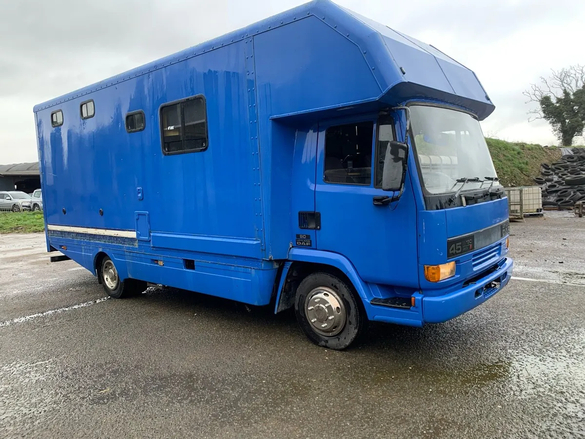 Horse box daf - Image 4