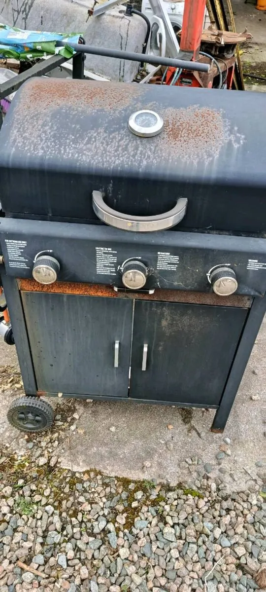 Yard clearance - Image 4