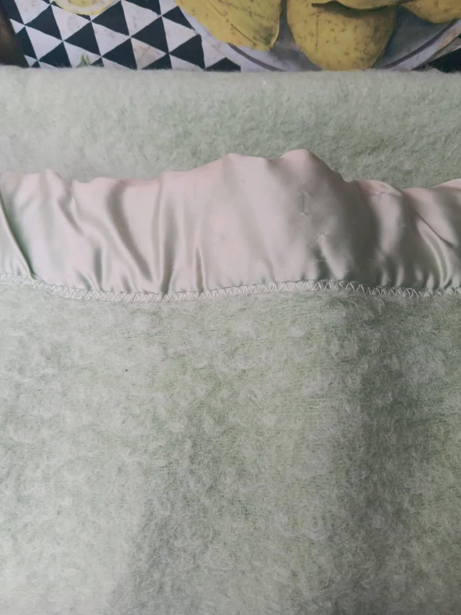 Vintage wool blanket - Image 2