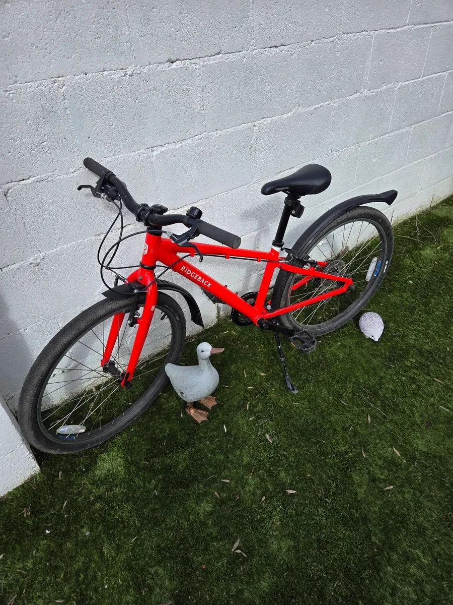 Ridgeback child's bike. - Image 2