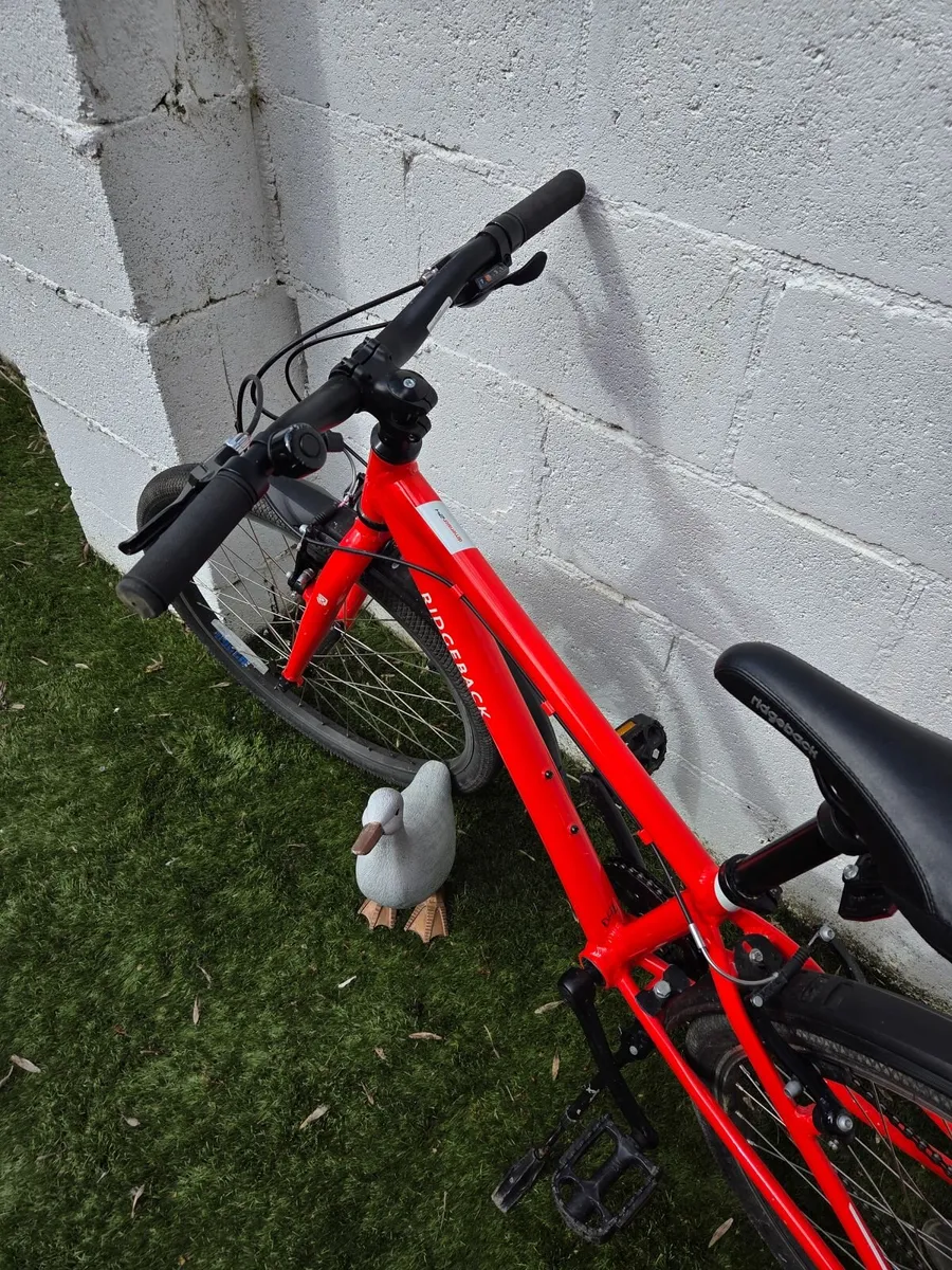 Ridgeback child's bike. - Image 3