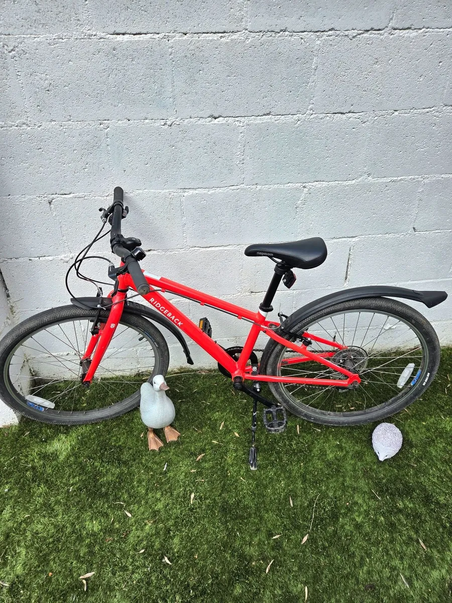 Ridgeback child's bike. - Image 1