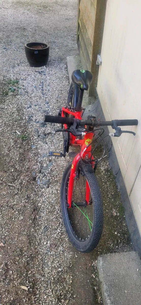 Frog bike 52 - Image 1