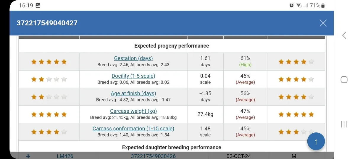 PBR SIMMENTAL BULL - Image 2