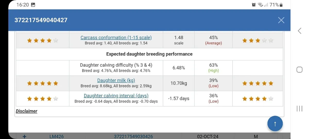 PBR SIMMENTAL BULL - Image 4