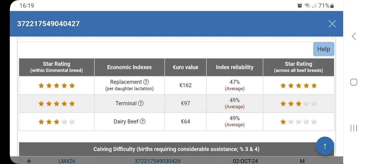 PBR SIMMENTAL BULL - Image 3