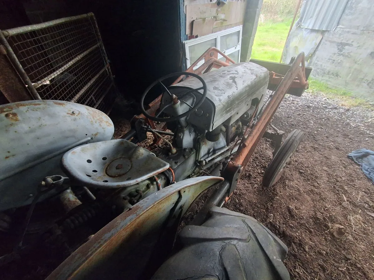 Grey Ferguson 20 TVO Tractor - Image 3