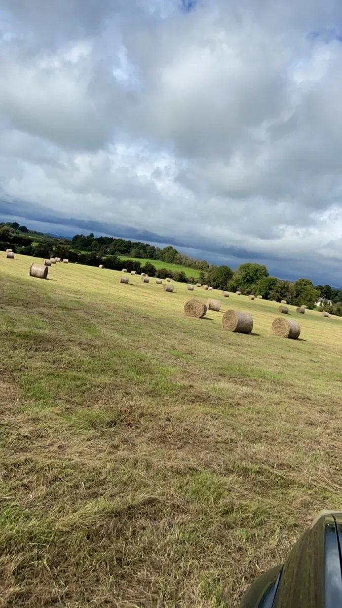 Hay - Image 1
