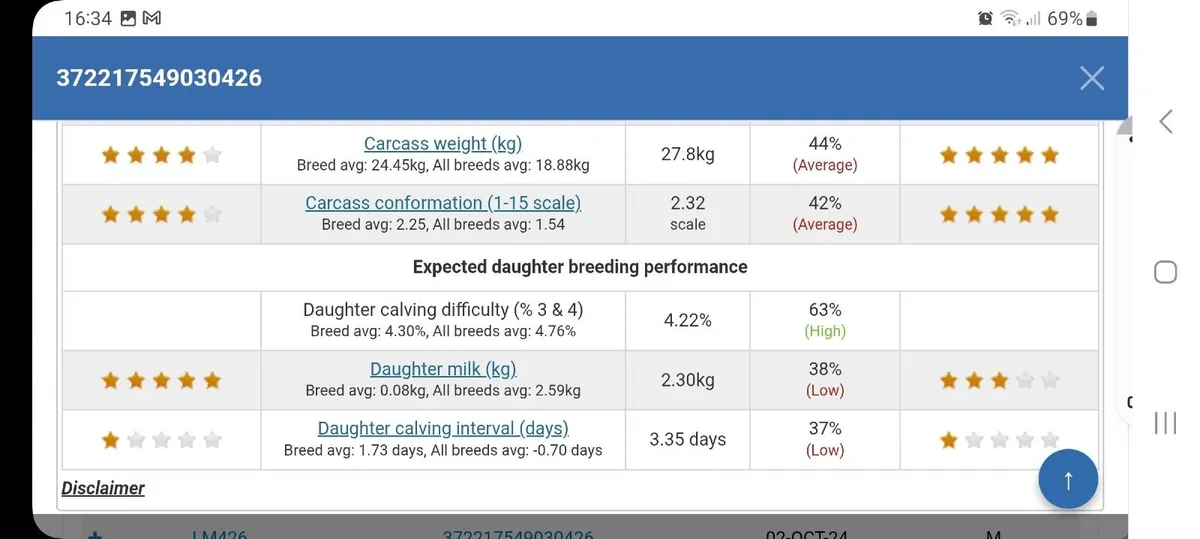 PBR LIMOUSIN BULL - 3.2% calving - Image 2