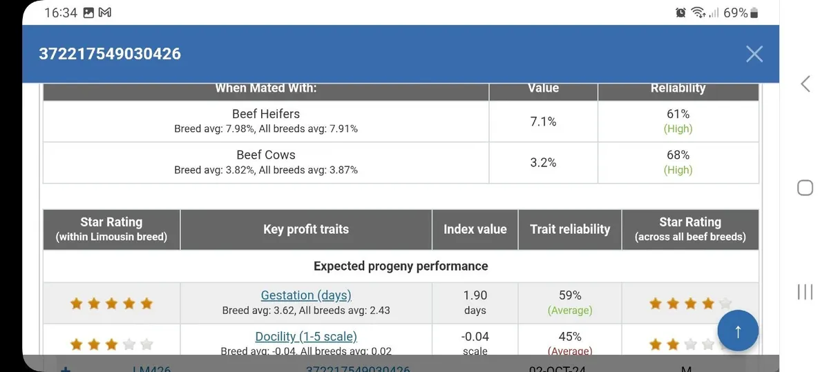 PBR LIMOUSIN BULL - 3.2% calving - Image 3