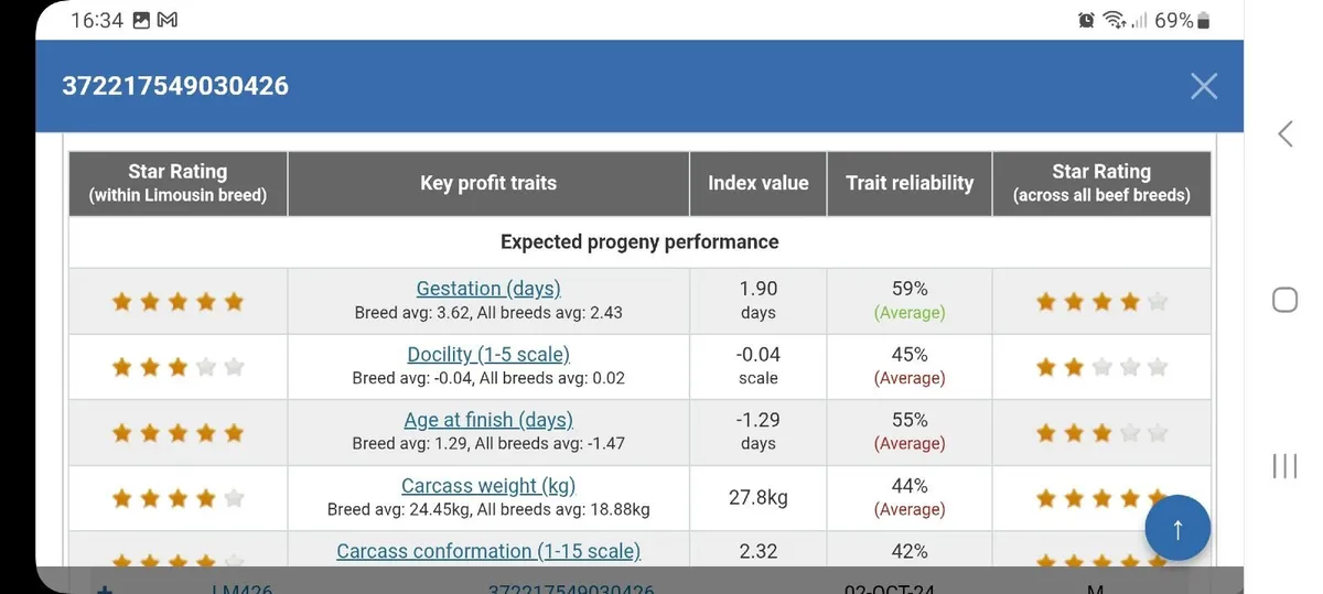 PBR LIMOUSIN BULL - 3.2% calving - Image 4