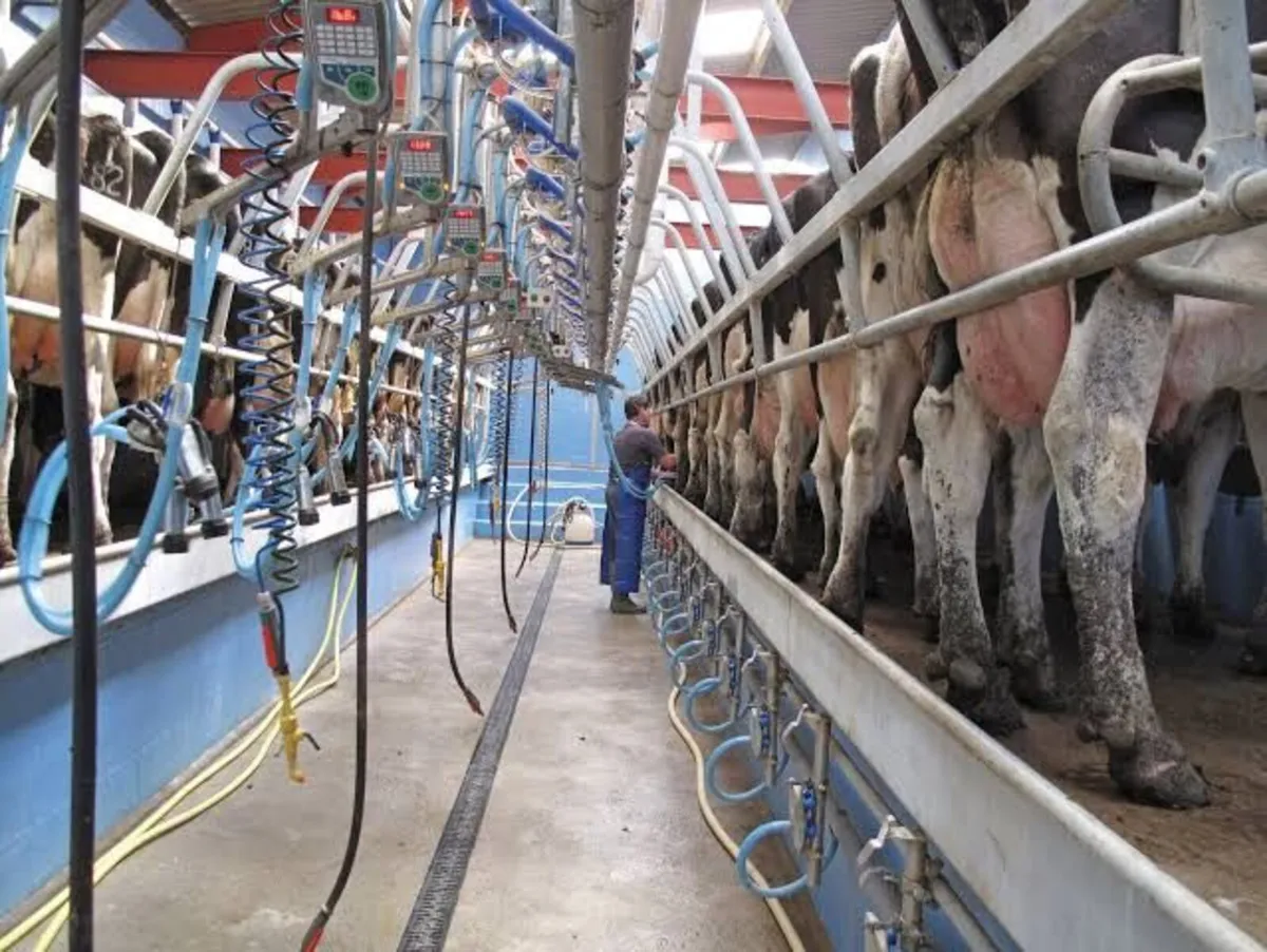 Relief Milker - Image 1