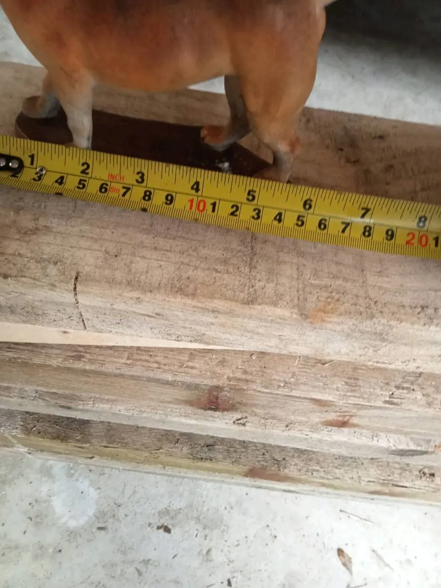 Dog ornament - Image 3