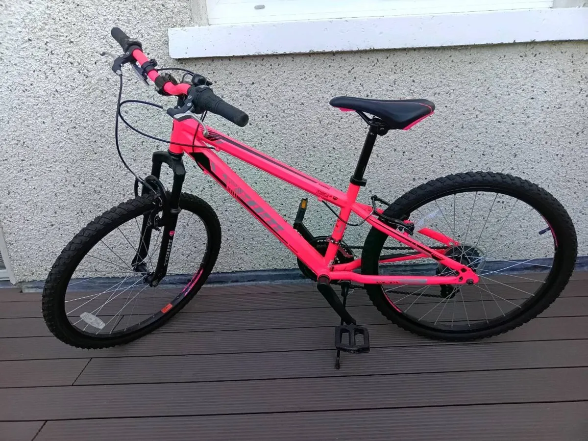 Child Mountain Bike - Image 1
