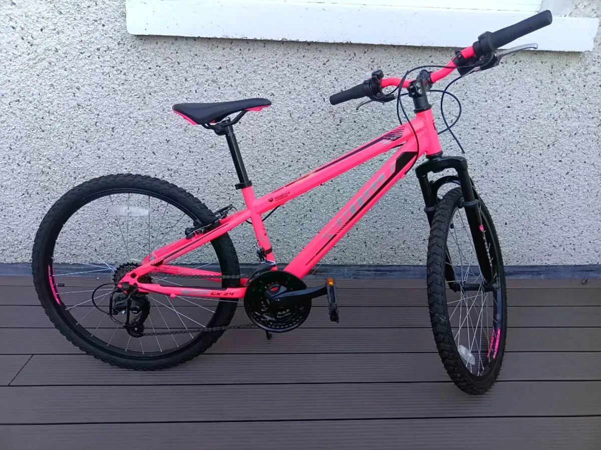 Child Mountain Bike - Image 2