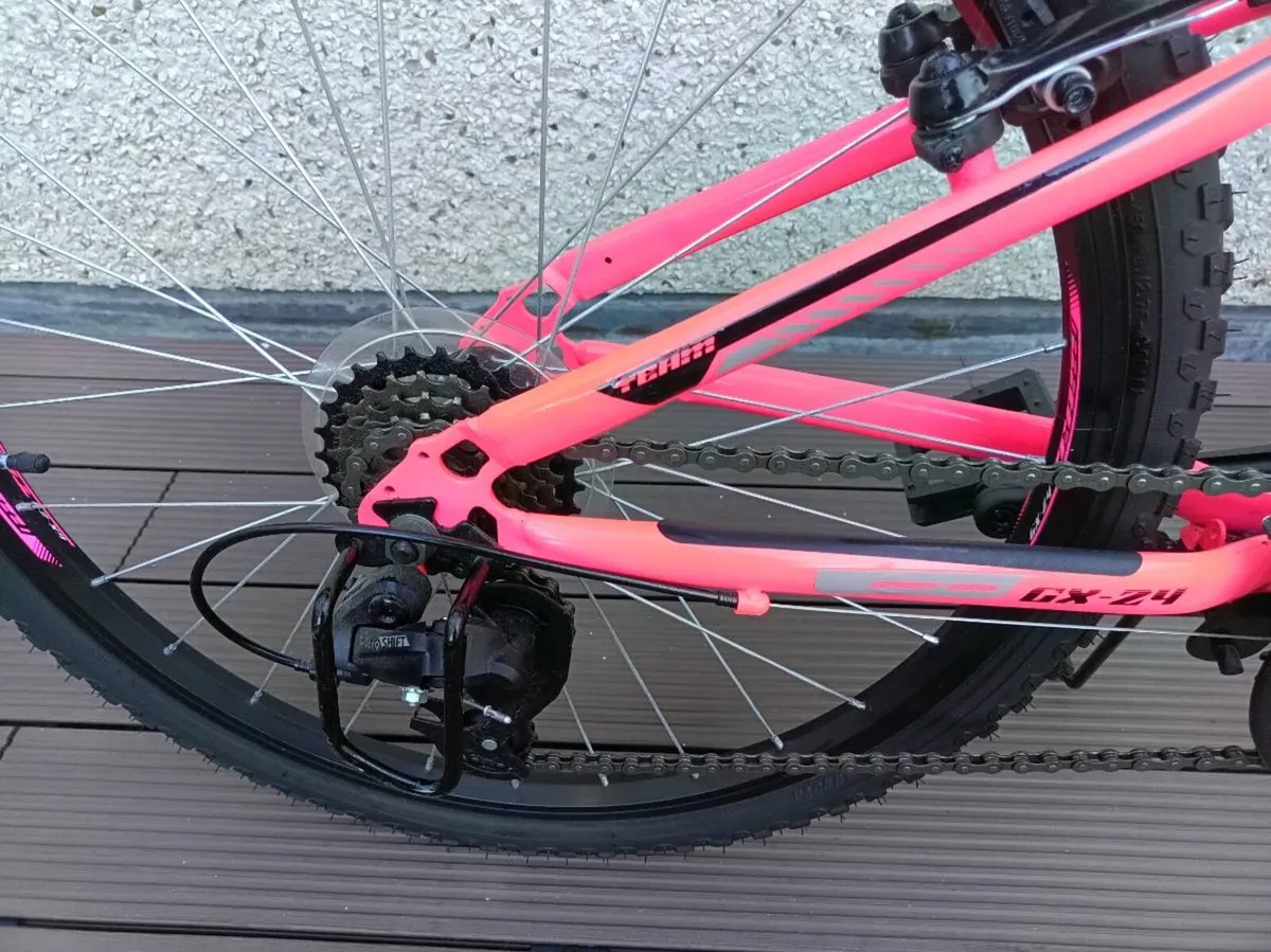 Child Mountain Bike - Image 3