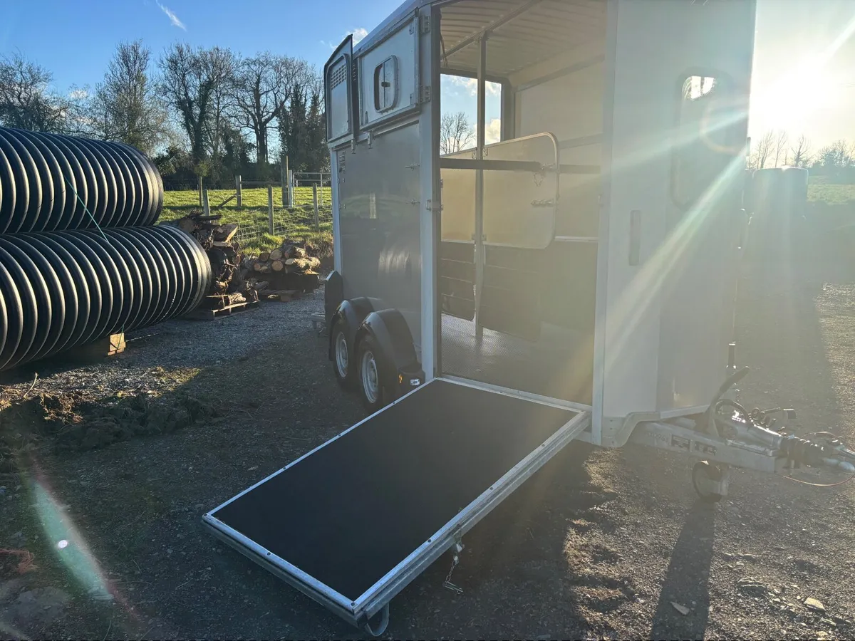 2020, IFOR WILLIAMS HB506 BLACK - Image 2