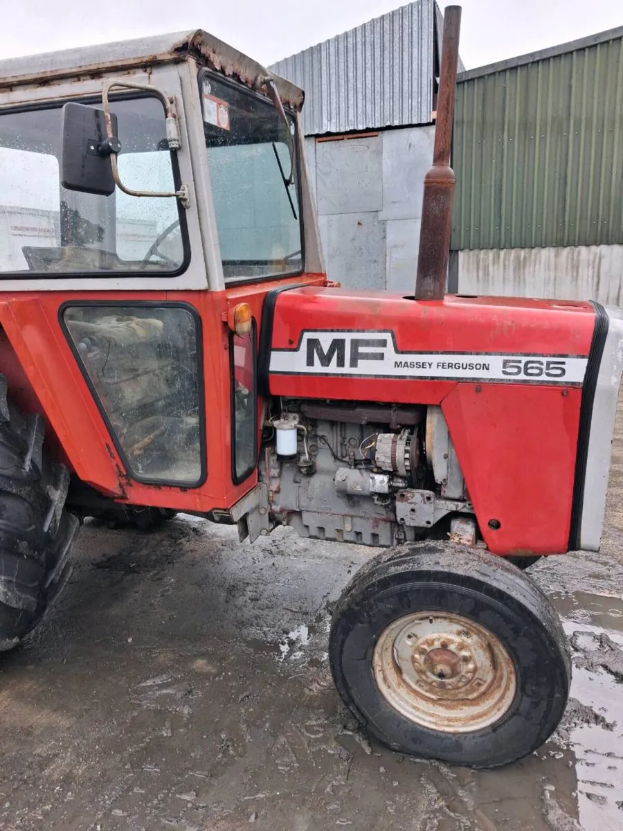 565 massey - Image 3