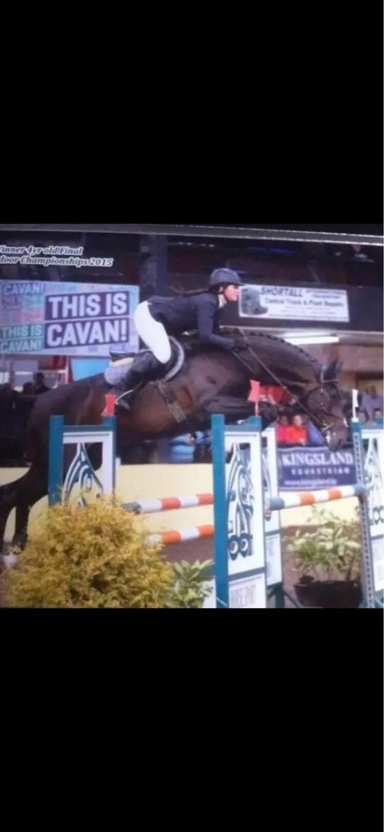 At stud Avos Jordan z - Image 1