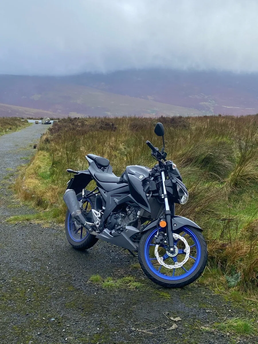 Suzuki GSX-S 125 2021 - Image 1