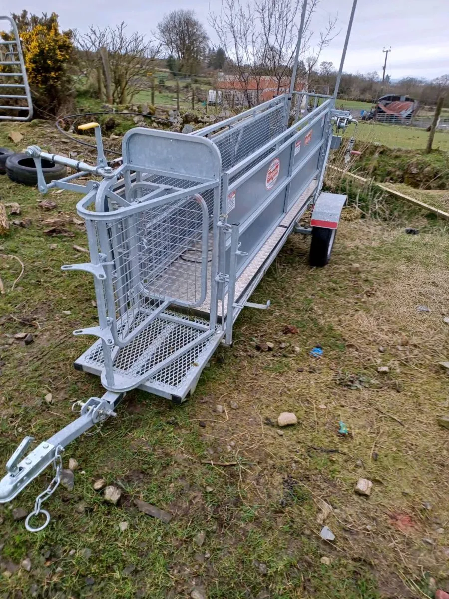 2025 Stanley mobile sheep race with footbaths. - Image 1