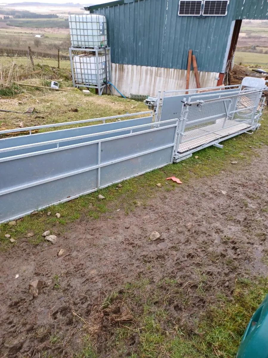 2025 Stanley mobile sheep race with footbaths. - Image 2