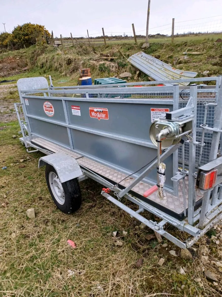 2025 Stanley mobile sheep race with footbaths. - Image 3