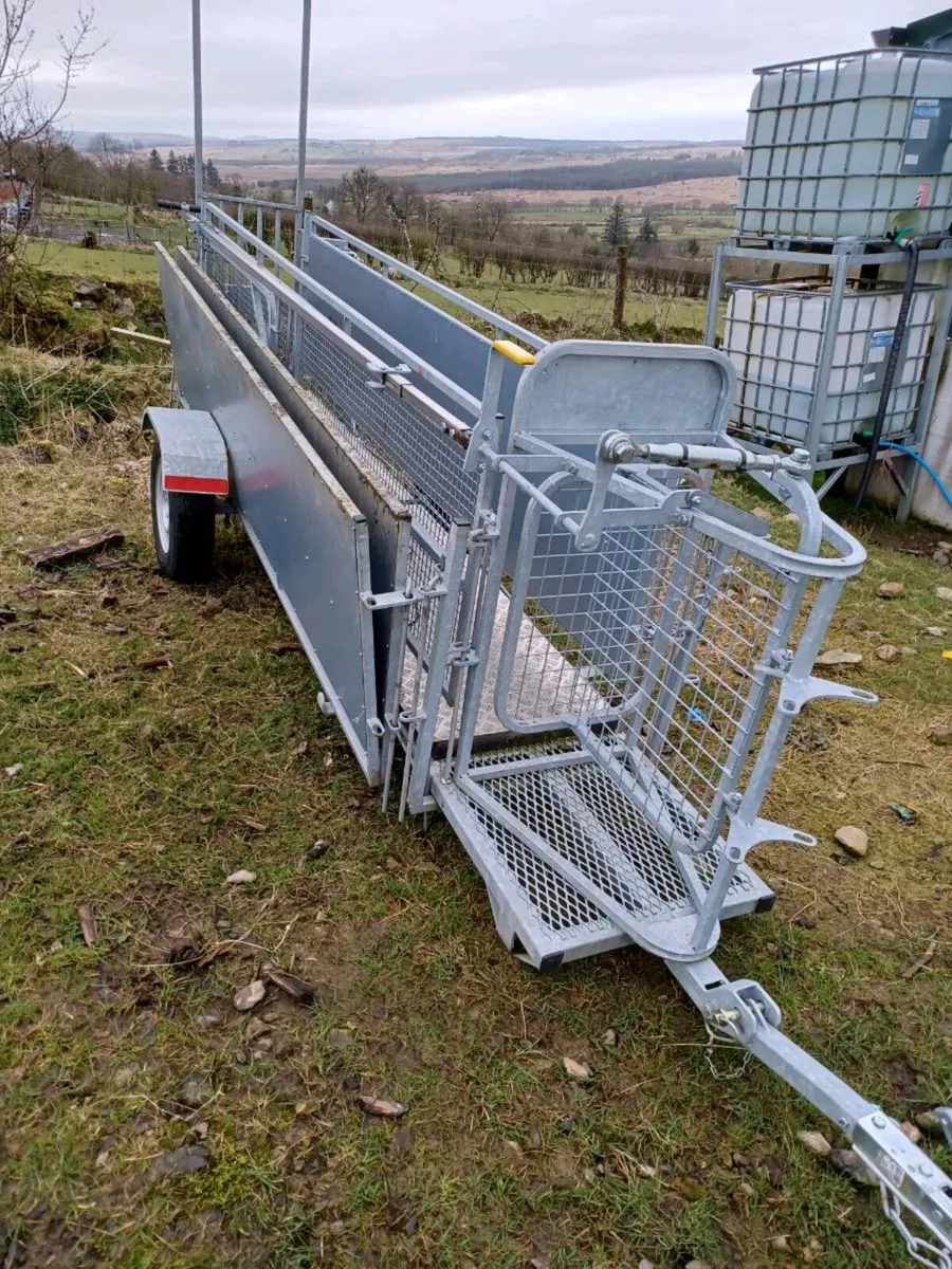 2025 Stanley mobile sheep race with footbaths. - Image 4