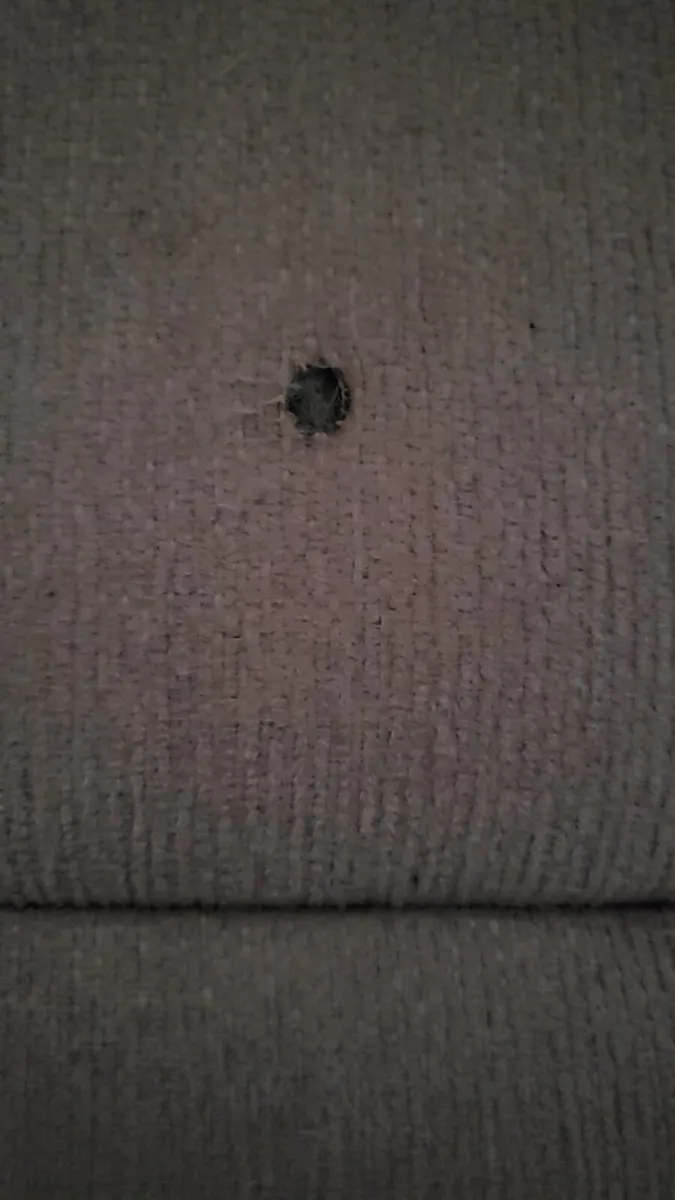 Electric reclining couch - Image 4