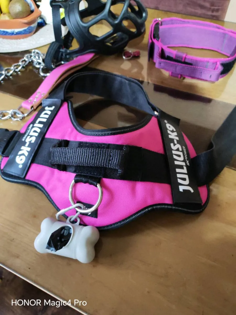 L anti pull Julius K9 collar and lead muzzle - Image 2