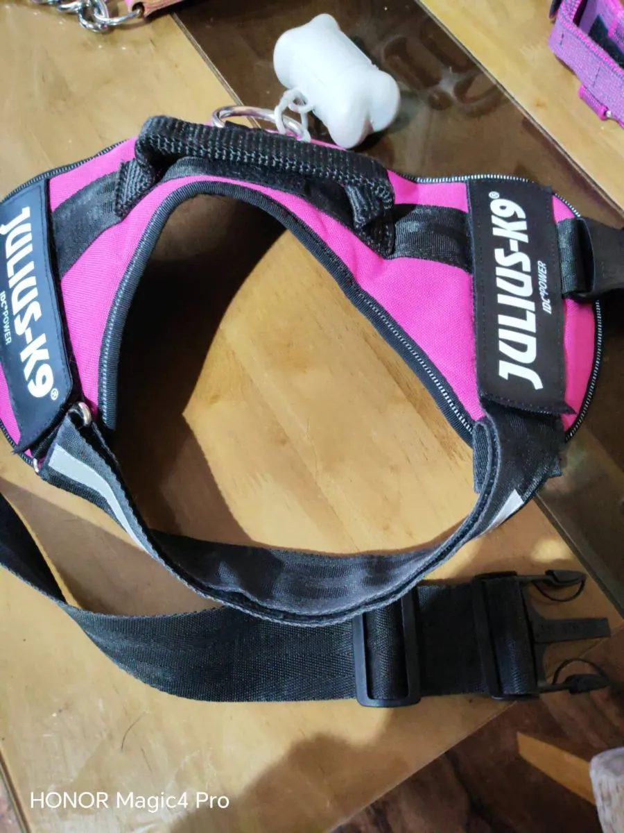 L anti pull Julius K9 collar and lead muzzle - Image 3