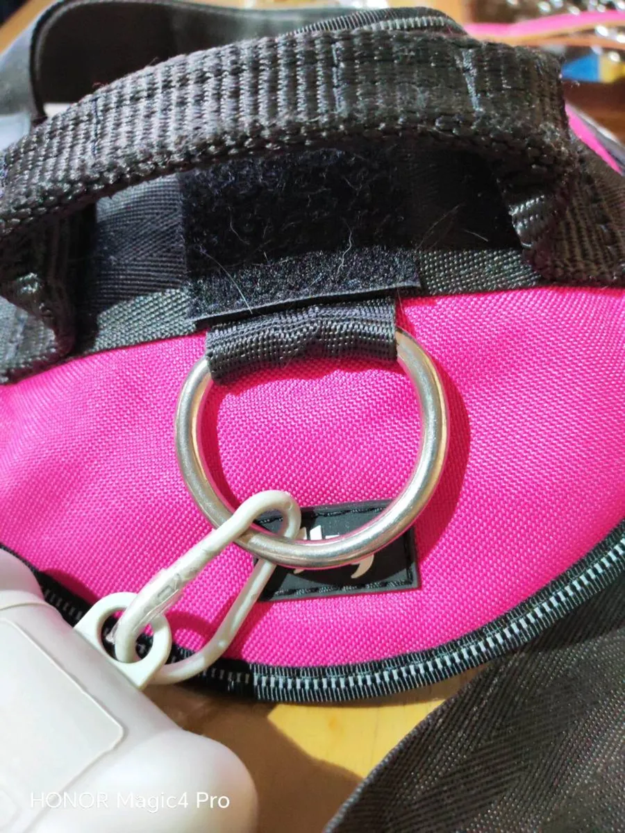 L anti pull Julius K9 collar and lead muzzle - Image 4