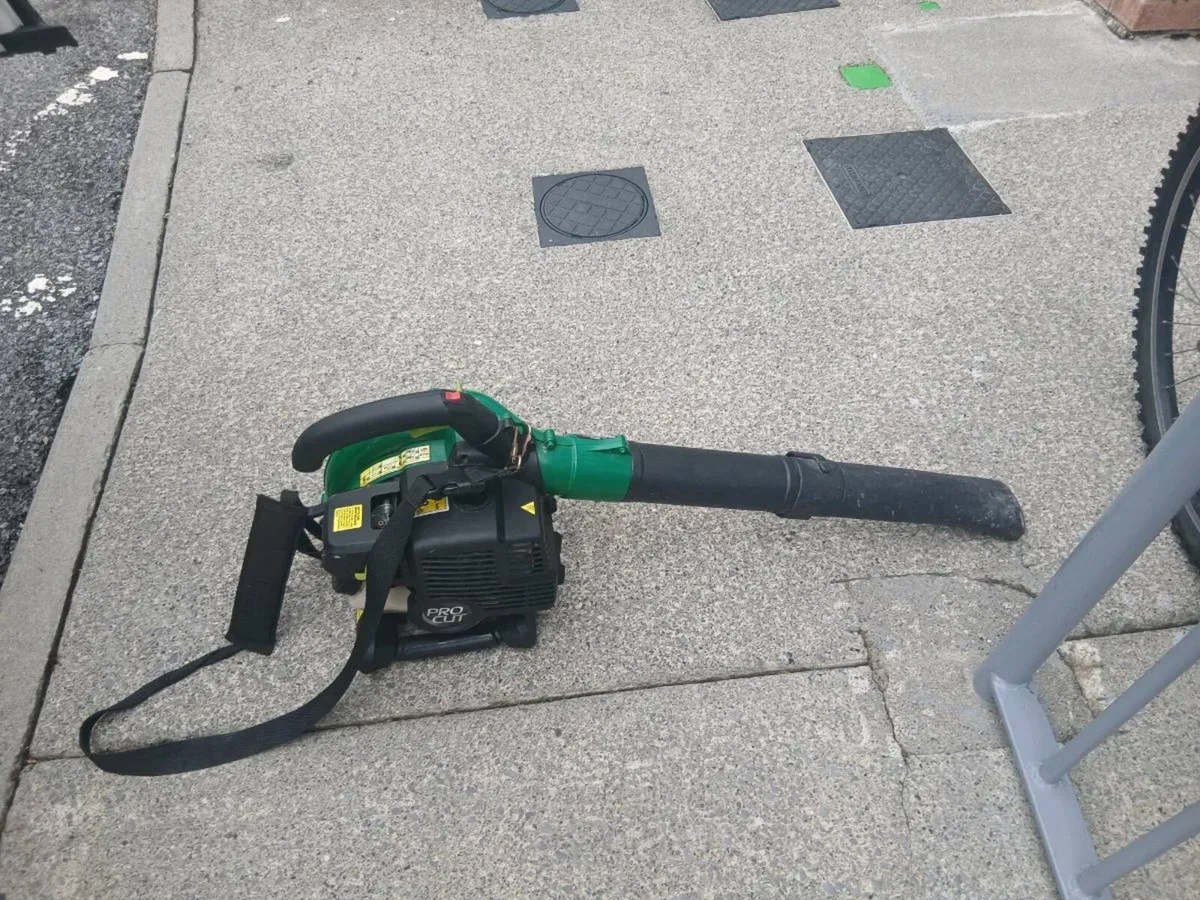 LEAF BLOWER - Image 1