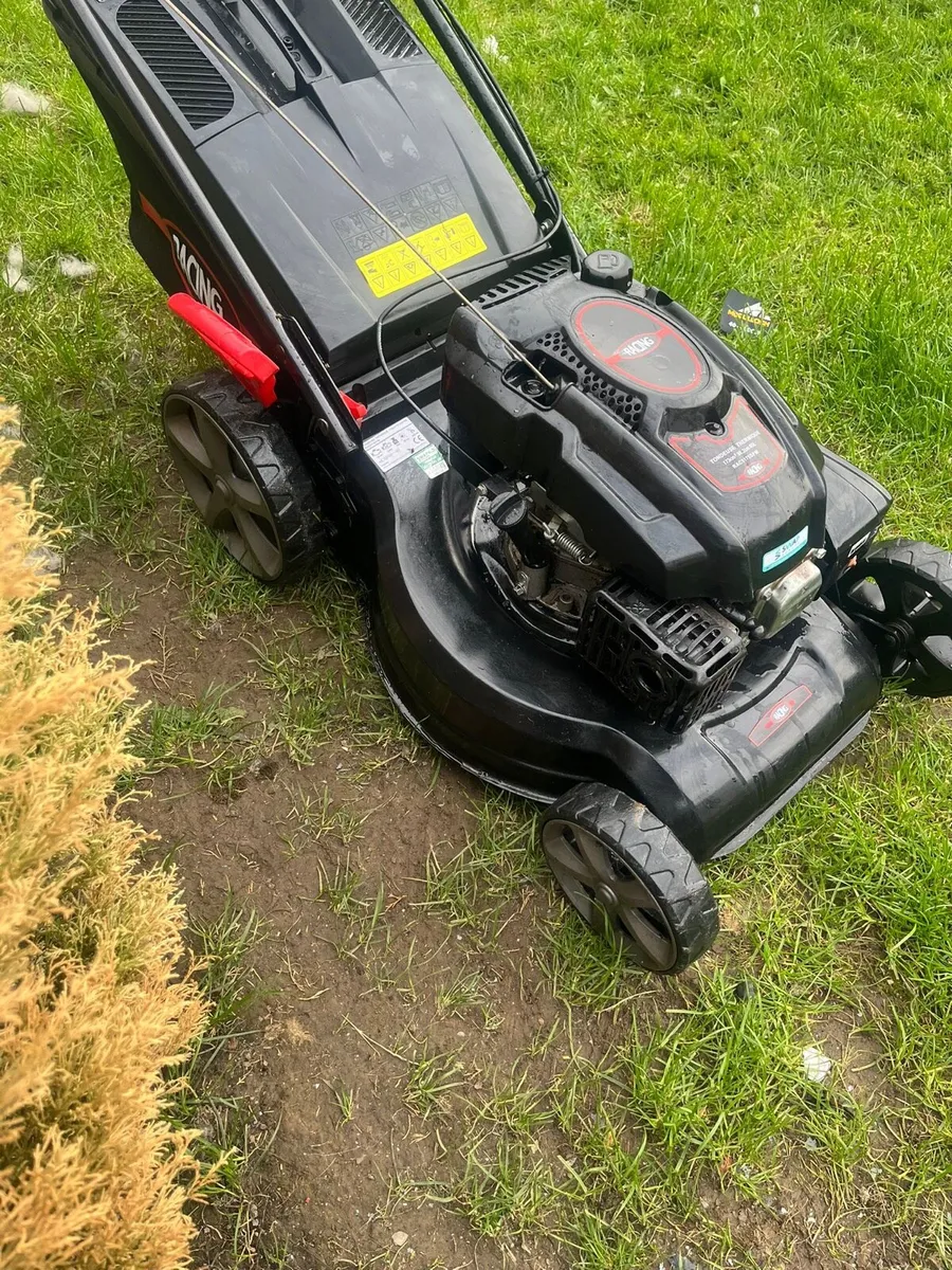 Lawnmower - Image 1